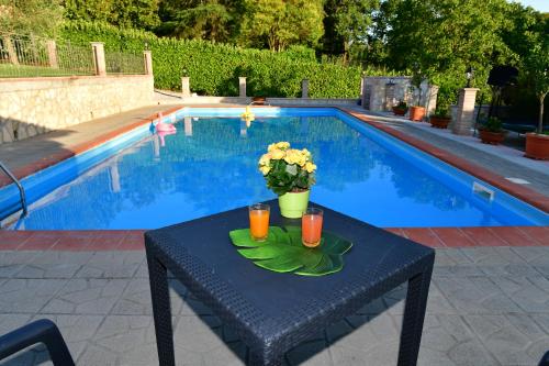 a table with drinks and flowers on it next to a pool at B&B Roman Country Villa in Zagarolo