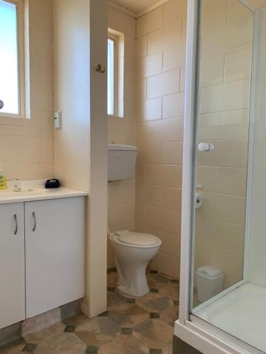 La salle de bains est pourvue de toilettes, d'un lavabo et d'une douche. dans l'établissement Temuka Motel, à Temuka