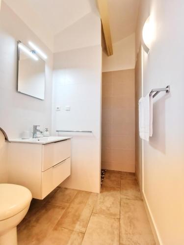 une salle de bain avec un lavabo et des toilettes dans l'établissement STUDIO PRIVATIF CLIMATISÉ , TERRASSE ET PiSCINE, à Pernes-les-Fontaines