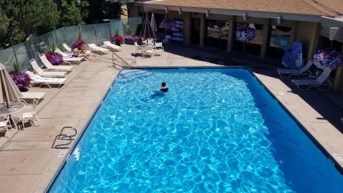 a person swimming in a large blue swimming pool at Mirabeau Park Hotel in Spokane Valley