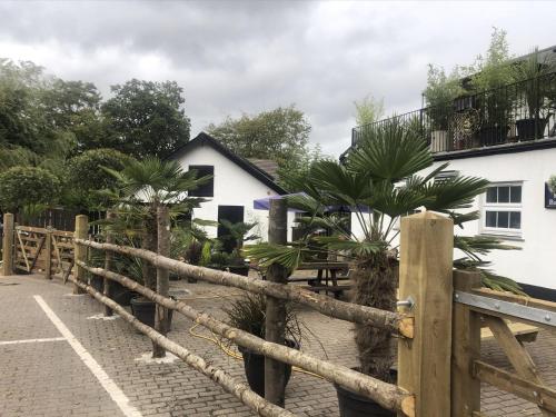 a fence with palm trees in front of a building at The Bickford Arms Inn in Holsworthy