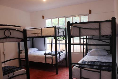 three bunk beds in a room with a window at Sukha Hostel Xilitla in Xilitla