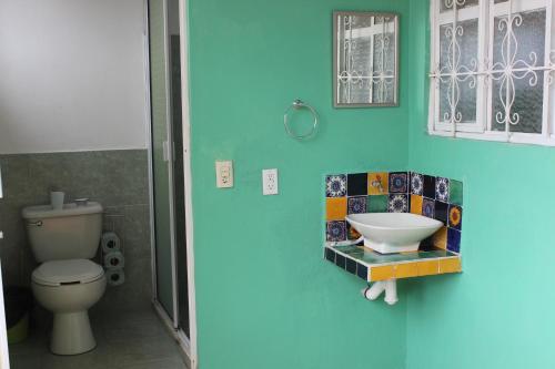a bathroom with a toilet and a sink on the wall at Sukha Hostel Xilitla in Xilitla