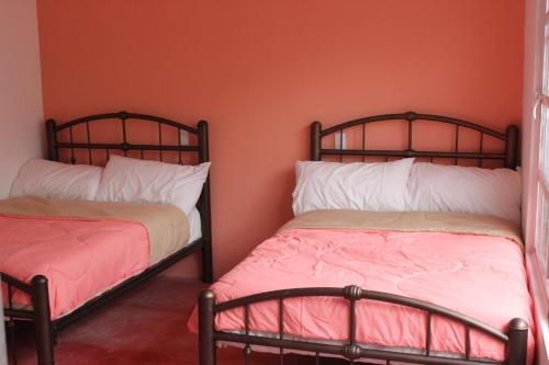 two beds sitting next to each other in a room at Sukha Hostel Xilitla in Xilitla