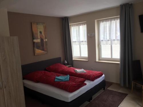1 cama con almohadas rojas en una habitación con ventanas en PENSION zur alten Gärtnerei, en Reichenbach im Vogtland