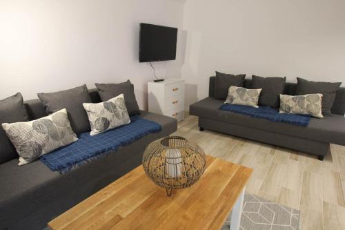 a living room with two couches and a television at Ośrodek Wypoczynkowy AKWA Marina in Nysa