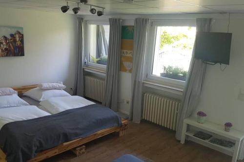 1 Schlafzimmer mit 2 Betten, einem TV und 2 Fenstern in der Unterkunft Bergische Oase - Ferienwohnung Oskar in Overath