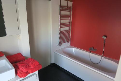 Koupelna v ubytování B&B / Studio De Druivelaar in hartje Kluisbergen (Berchem)