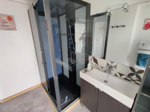 une salle de bain avec une douche avec un lavabo et un miroir dans l'établissement Studio Mezzanine Chez Papou, Ville et Forêt, à Strasbourg