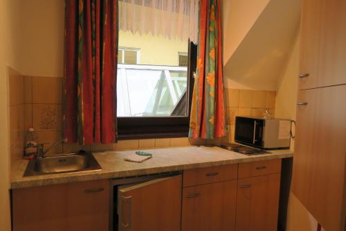 a kitchen with a sink and a microwave and a window at Appartement Mosser in Villach