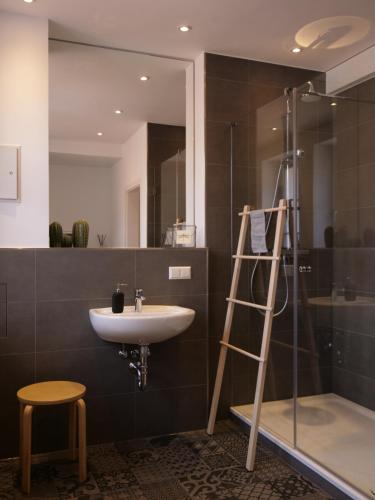 een badkamer met een wastafel, een douche en een ladder bij Wohnen unter dem Schloss in Heidelberg
