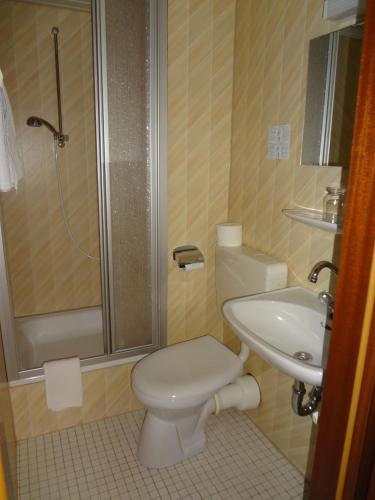 a bathroom with a toilet and a sink and a shower at Landgasthof Fischer Veri in Mitterfels