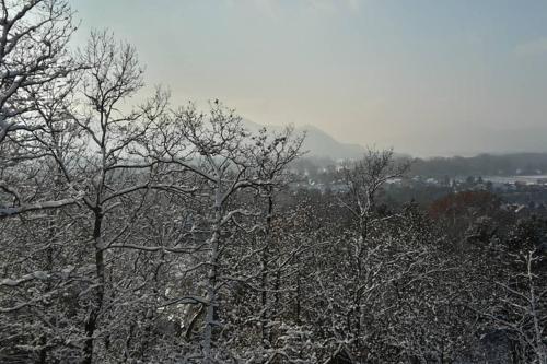 アパートメントの近くで見られる自然の景観