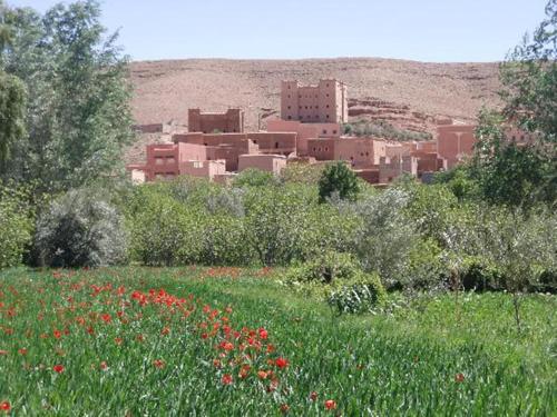 a field of flowers with a town in the background at Casbah d'hôte La Jeanne Tourisme Ecologique in Boumalne