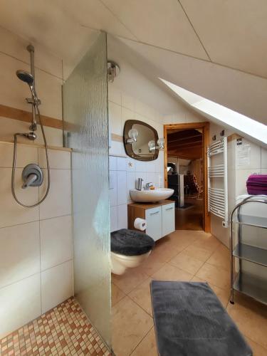 a bathroom with a sink and a toilet in a room at FeWo am Pochwerk-Badeteich in Brand-Erbisdorf