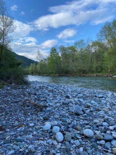 a river with rocks and trees in the background at Le petit Monrepos avec jacuzzi nordique in Bielle
