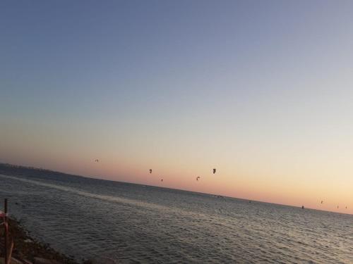 a group of kites flying over the ocean at sunset at Romeo&giuliet in Marsala