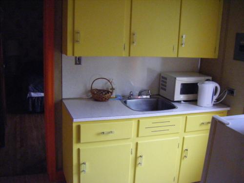 渥太華的住宿－奧伯格藝術住宿加早餐酒店，厨房配有黄色橱柜、水槽和微波炉