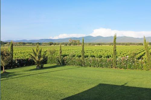 Paisaje cerca de este agroturismo