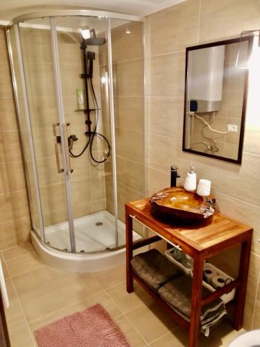 a bathroom with a shower with a sink and a mirror at Domeniul Horj Casa din Deal Moisei in Moisei