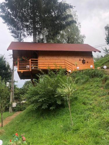 En have udenfor Domeniul Horj Casa din Deal Moisei