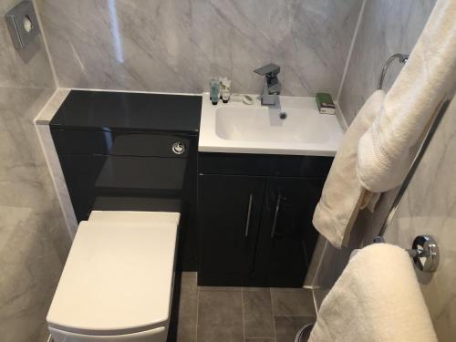 a small bathroom with a sink and a toilet at Harbour Lodge B&B in Paignton