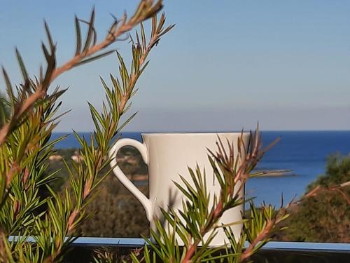 DAVIA Hotel – Photos 5