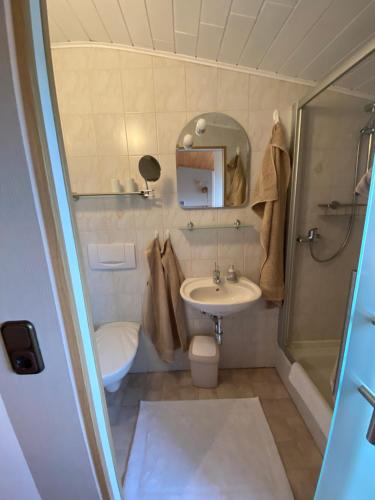 een badkamer met een wastafel, een toilet en een douche bij Pension Görgen in Herresbach