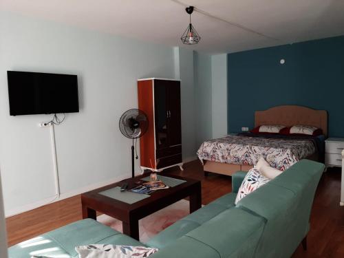 a living room with a couch and a bed at Samlife Apart in Samsun