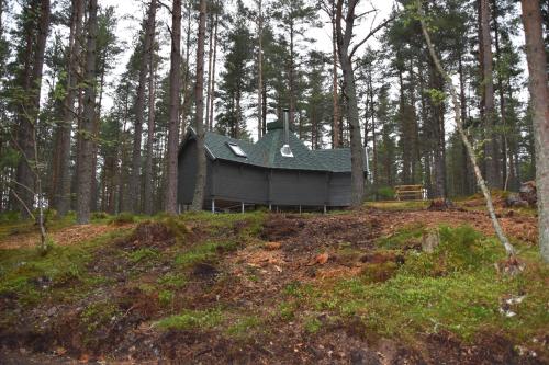 a house in the middle of a forest at Cairngorm Bothies in Aboyne