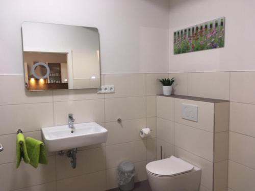 a bathroom with a sink and a toilet and a mirror at Bauernhof Koch in Edingen-Neckarhausen