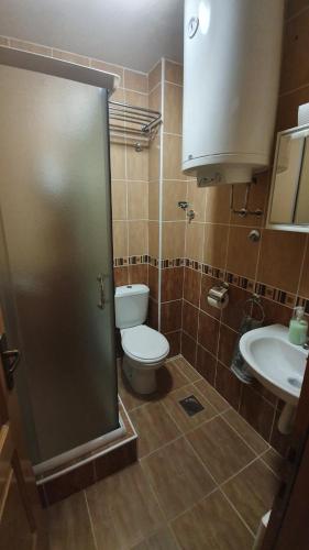 Vonios kambarys apgyvendinimo įstaigoje Vila Panić Zlatibor