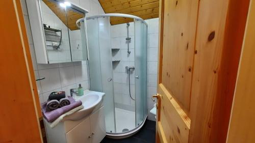 a bathroom with a glass shower and a sink at Haus Alexandra Apartment in Bled