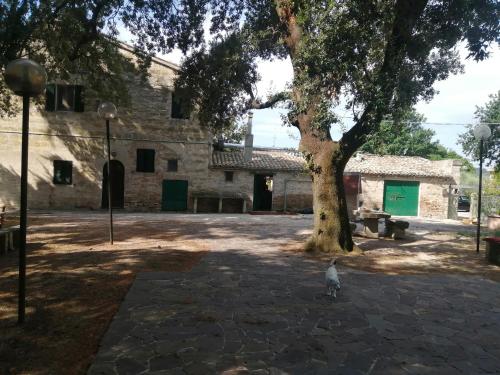 a bird standing in front of a building with a tree at camere in Villa Luzi in Treia