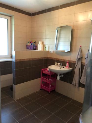 a bathroom with a sink and a mirror at Apartmány Eva Frymburk in Frymburk