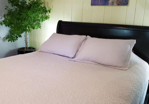 1 cama con 2 almohadas blancas y una planta en Rugosa Guest House, en Eastham