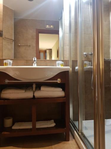 uma casa de banho com um lavatório e um chuveiro em Hotel Las Leyendas em Ávila