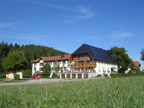 a large building on the side of a road at Landgasthof Zum Schwanen in Hornberg