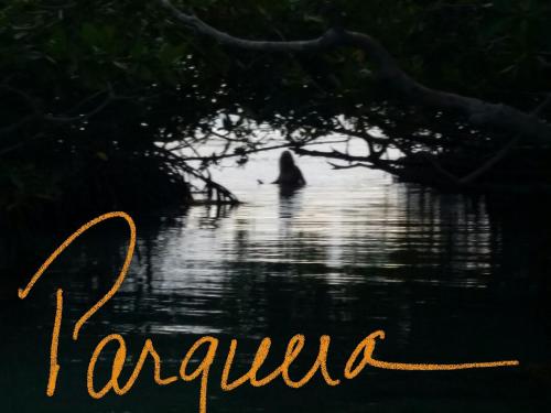 a bird is swimming in the water in a lake at Casa Bonita Inn in La Parguera