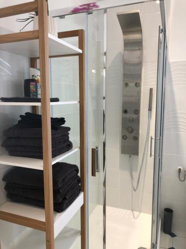 y baño con ducha y perchero de toallas. en Résidence Austerlitz centre Angouleme, en Angulema