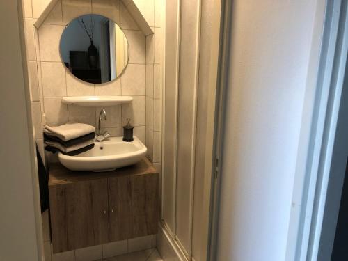 uma casa de banho com um lavatório e um espelho em Beekhoeve em Scherpenzeel