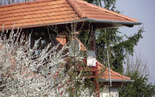 a house with a red roof and a tree at Folyóka Vendégház in Egyházasgerge