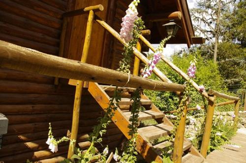 a wooden cabin with a wooden staircase with flowers at Cabañas Am Hang in La Cumbrecita
