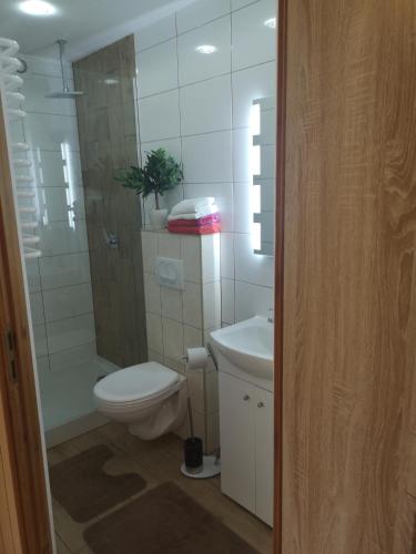a bathroom with a toilet and a shower and a sink at Dom wczasowy Rychertówka in Grzebieniec