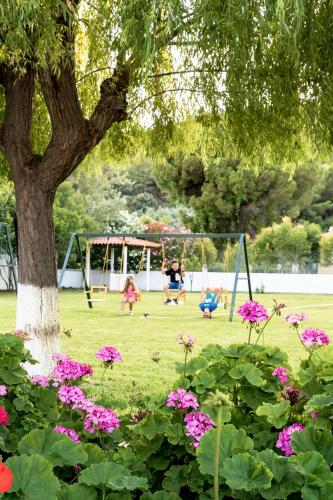 a park with a tree and people playing on a swing at Almira Hotel in Troulos