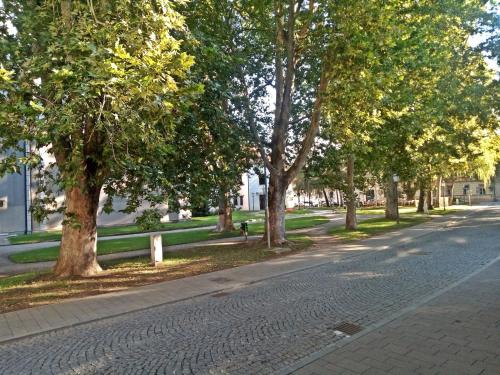 an empty street with trees on the side of the road at Park Boutique Hotel in Varaždin