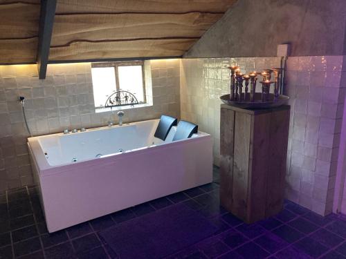 
Een badkamer bij Betuwsch Badhuys
