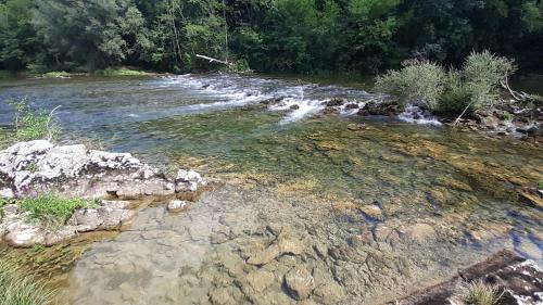 a stream of water with rocks and trees at River house "Green butterfly" in Netretić
