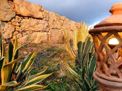 a stone wall with a vase next to some plants at Agriturismo Leanza "La Baita" in Cesarò