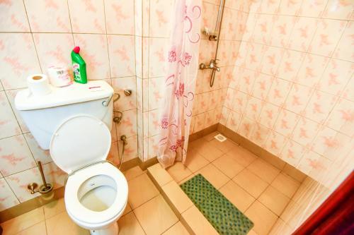 a small bathroom with a toilet and a shower at Corinya Serviced Apartments in Entebbe